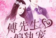 叶南浅傅绍衡舒妍宋鸿云小说叫什么(暖婚蜜恋:傅先生偏执宠免费阅读)-干果文学
