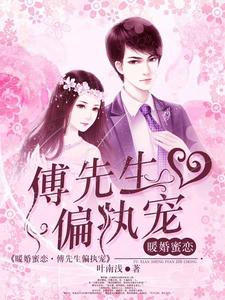 叶南浅傅绍衡舒妍宋鸿云小说叫什么（暖婚蜜恋：傅先生偏执宠免费阅读）