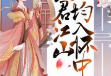 替嫁医妃:夫君江山均入怀中小说,替嫁医妃:夫君江山均入怀中最新章节-干果文学
