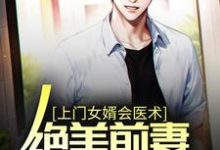 求上门女婿会医术,绝美前妻悔不当初小说免费资源-干果文学
