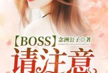 离落一龙北陌小说《Boss请注意:娇妻重生了!》在线阅读-干果文学