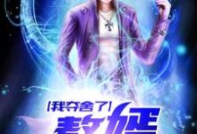 我夺舍了赘婿小说有没有完结版在线?-干果文学