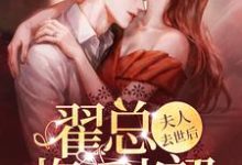 夫人去世后,翟总悔不当初小说全文阅读需要付费吗?寻找免费资源-干果文学