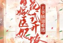 替嫁医妃花式开撩,王爷插翅难逃章节免费在线阅读,叶南栖萧宸泽完结版-干果文学