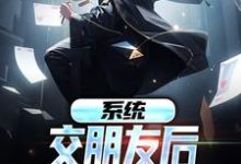 系统:交朋友后,我武力值爆表关山月小说大结局免费试读-干果文学