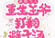 主角叫叶尘沈秋的小说在哪阅读-干果文学