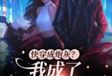 《快穿成炮灰?我成了主角的皇婶》小说大结局免费试读 沈眠江衿风小说-干果文学