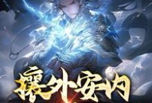《攘外安内,一人亦可为》小说主角徐平章节章节免费在线阅读-干果文学