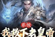 《系统:我救下老皇帝,就能逆天改命》小说章节列表免费试读,曹爽之小说在线阅读-干果文学
