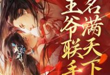 和王爷联手后,我名满天下了这本小说完结了吗?免费查看最新章节-干果文学