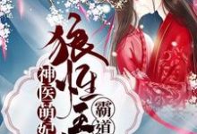 主角叫林初晓邵羿的小说在哪阅读-干果文学