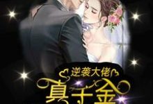 白芷胡淑慧白洪涛素诗韵白冉冉小说在哪里可以看-干果文学