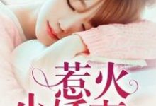 免费阅读顾兮迟绍杰为主角的小说,惹火小娇妻在线看-干果文学