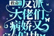 救命!反派大佬们病娇又偏执小说,救命!反派大佬们病娇又偏执免费阅读-干果文学