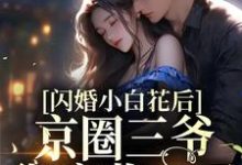 闪婚小白花后,京圈三爷彻底收心了小说的免费阅读版本在哪里可以找到?-干果文学