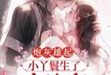 《炮灰雄起:小丫鬟生了王府继承人》小说章节在线试读,《炮灰雄起:小丫鬟生了王府继承人》最新章节目录-干果文学
