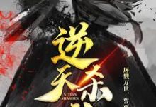 谭云长孙轩柒是哪本书的主角?逆天杀神免费读-干果文学