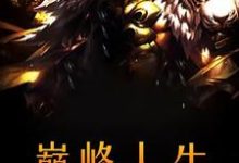 巅峰人生小说,巅峰人生在线阅读-干果文学