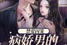 禁爱囚笼:病娇男的独占欲主角季晏清慕之桃小说完结版章节在线阅读-干果文学
