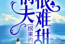 拐来的前夫很难甜小说最新章节在哪里可以读到?-干果文学