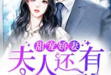 甜宠娇妻:夫人还有马甲吗小说完结了吗?在哪里可以免费读到?-干果文学