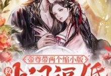 沐晚歌墨为寂小说《救命!帝尊带两个缩小版上门逼婚》在线阅读-干果文学