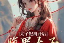 小说《太子妃离开后,腹黑太子急疯了》章节免费阅读-干果文学