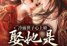 小说《冷面世子心上娇:娶她是筹谋已久》在线章节阅读-干果文学