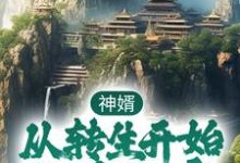 主角唐昊李婉清小说完结版在线阅读,神婿:从转生开始称霸大唐免费看-干果文学