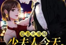 已完结小说《追妻火葬场:少夫人今天又硬气了》在线章节阅读-干果文学