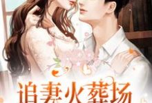追妻火葬场!狗男人被虐惨啦小说完结了吗?在哪里可以免费读到?-干果文学