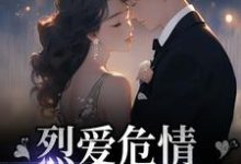 烈爱危情:错付一世情深免费阅读,烈爱危情:错付一世情深章节目录-干果文学