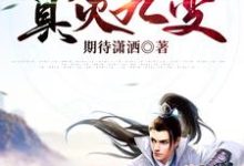 真灵九变小说完结版章节免费阅读-干果文学