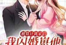 小说《被算计离家后,我闪婚崽他豪门亲爹》在线章节阅读-干果文学