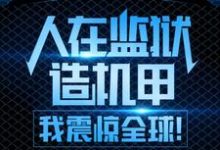 人在监狱造机甲,我震惊全球!周扬张莉小说免费阅读-干果文学