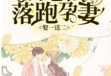 小说《娶一送二,厉总的落跑孕妻》在线章节阅读-干果文学