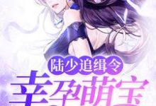 哪里可以免费读到南溪陆景深陆夏南雨涵的完整故事?寻找陆少追缉令:幸孕萌宝亿万妻-干果文学