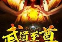 武道至尊小说最新更新在哪里?免费在线看-干果文学