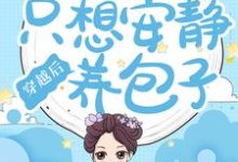 小说《穿越后,寡妇她只想安静养包子》在线章节阅读-干果文学