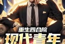 李青峰何雨柱的小说在哪里看?免费在线阅读重生四合院:现代青年的崛起-干果文学