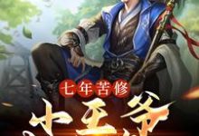 七年苦修,小王爷武林第一小说的免费电子版在哪里可以下载或阅读?-干果文学