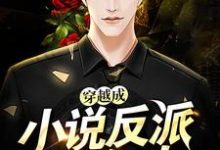 小说《穿越成小说反派怎么办》在线章节阅读-干果文学