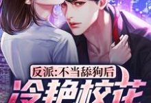 反派:不当舔狗后,冷艳校花急哭了(陈北渊)在线免费阅读-干果文学
