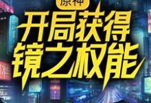 在线寻找苏尘莫尔帕斯的小说,原神:开局获得镜之权能免费阅读-干果文学