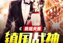 哪里能找到我姐夫是镇国战神小说的全部章节?-干果文学
