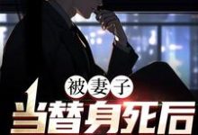 被妻子当替身死后,我重生了小说完结了吗?在哪里可以免费读到?-干果文学