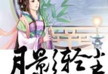 月影轻尘小说的无弹窗阅读体验,寻找免费阅读网站-干果文学