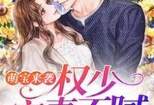 萌宝来袭:权少宠妻不腻小说全文阅读需要付费吗?寻找免费资源-干果文学