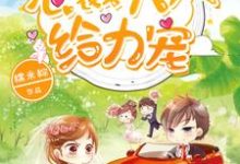 姜浅陆辞尧周周嘟嘟是哪本书的主角?寻找1胎2宝:总裁大人,给力宠免费阅读-干果文学