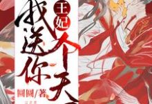 寻找能够免费阅读王妃,我送你个天下小说的平台-干果文学